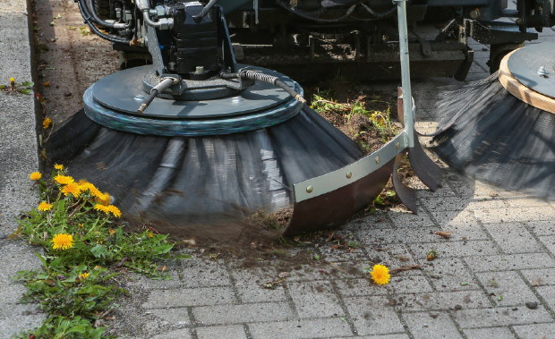 Effektive Wildkrautentfernung mit leistungsstarker Bürstentechnologie